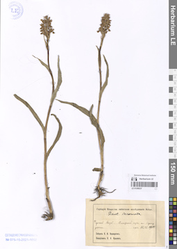 LE 01209237
