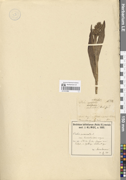LE 01272802