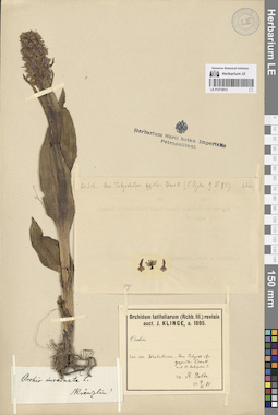 LE 01272812