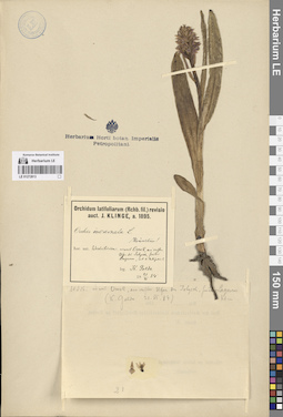 LE 01272813