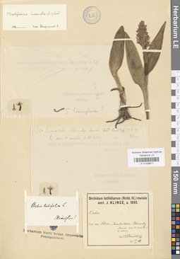 LE 01028611
