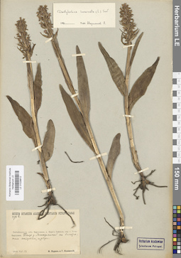LE 01028612