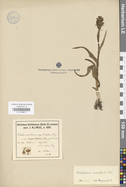 LE 01028613