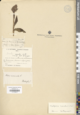 LE 01028619