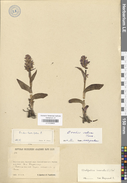 LE 01028620
