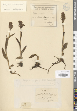 LE 01028622