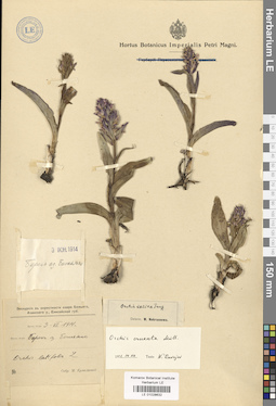 LE 01028632