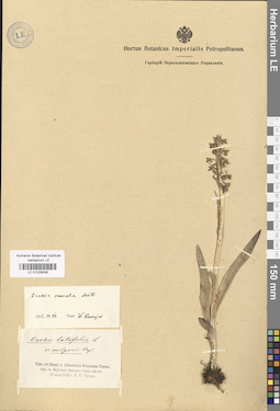LE 01028638