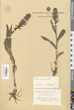 LE 01028639