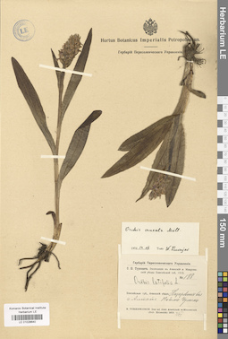 LE 01028640