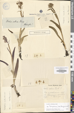 LE 01028646