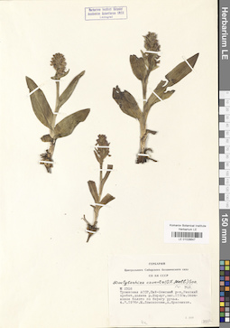 LE 01028647
