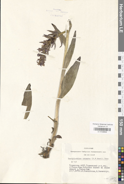 LE 01028648