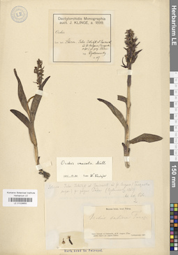 LE 01028650