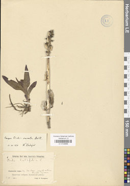 LE 01028669