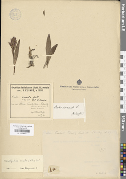 LE 01028674