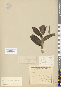 LE 01028675