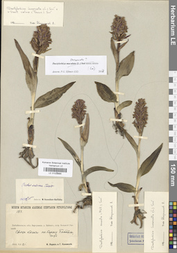 LE 01028885