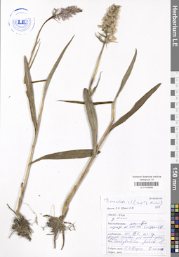 LE 01028683