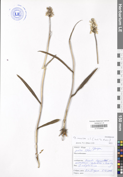 LE 01028684