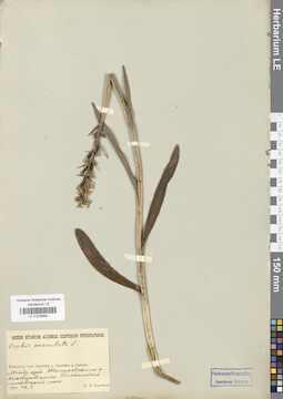 LE 01028691