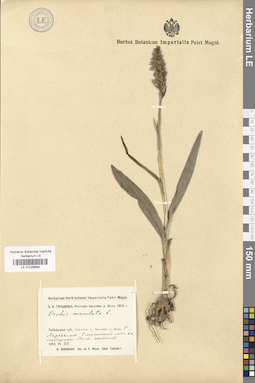 LE 01028694