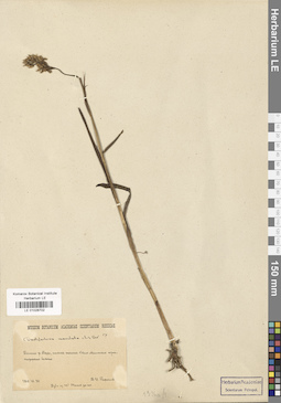 LE 01028702