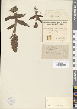 LE 01028734