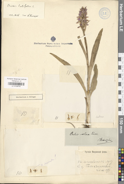 LE 01028743