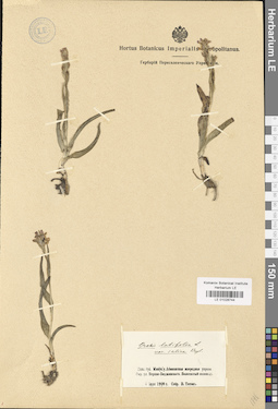 LE 01028744