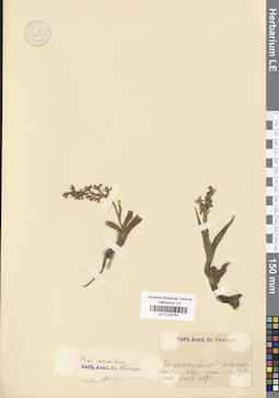 LE 01028745