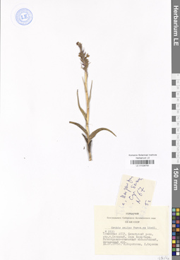 LE 01028750
