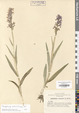 LE 01028751
