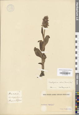 LE 01028759