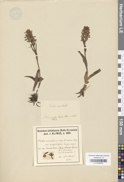 LE 01028760