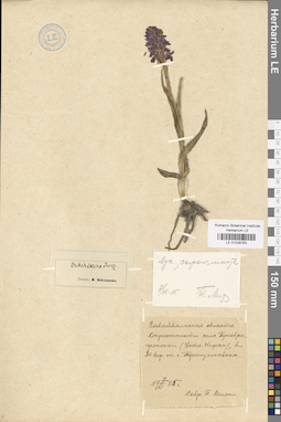 LE 01028763