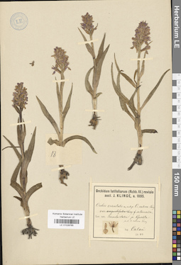 LE 01028765