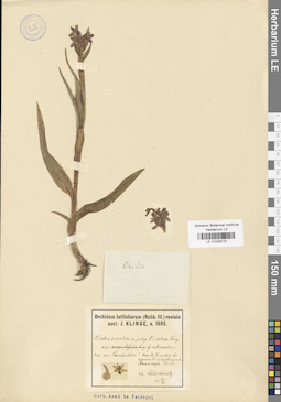 LE 01028770
