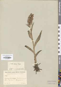 LE 01028776