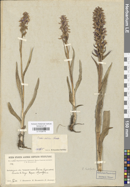 LE 01028778