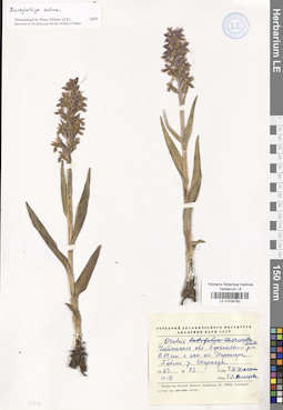 LE 01028780