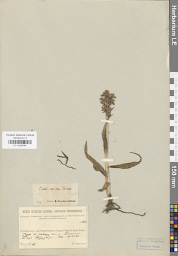 LE 01028784