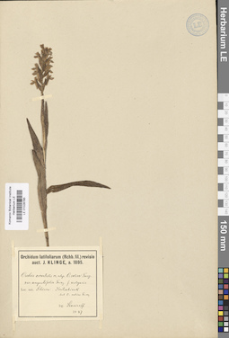 LE 01028785