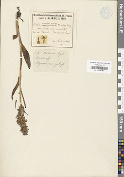 LE 01028786