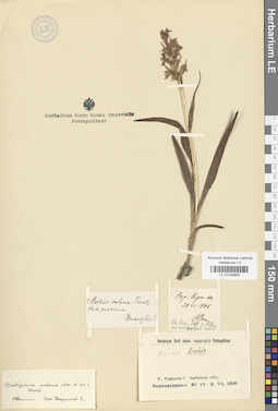 LE 01028855