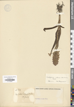LE 01028857