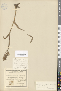 LE 01028859