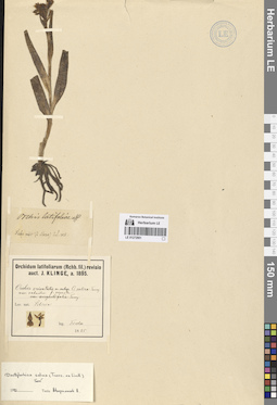 LE 01272901