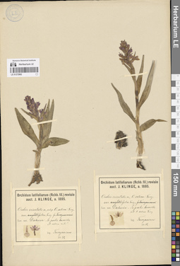 LE 01272902