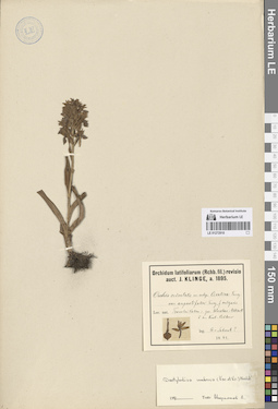LE 01272910